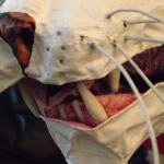 CouchMouthCloseUp_600