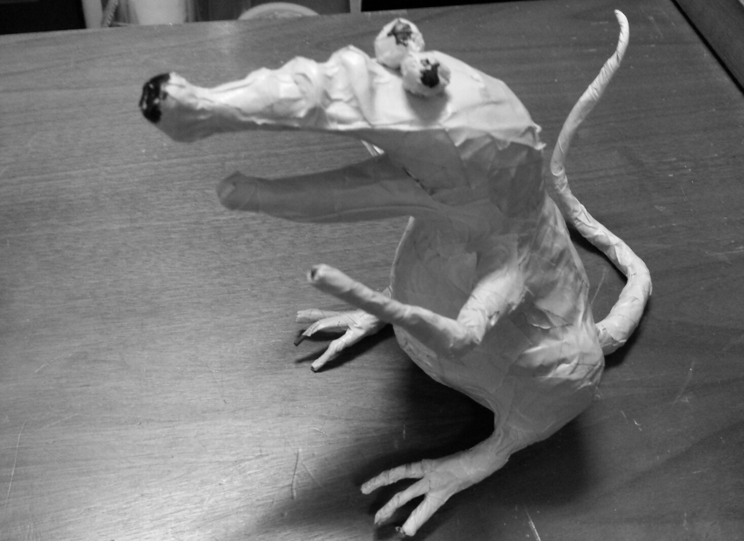 Rat not a Cat!