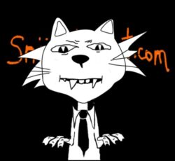 SpitzProfilePic Image of Spitz the cat